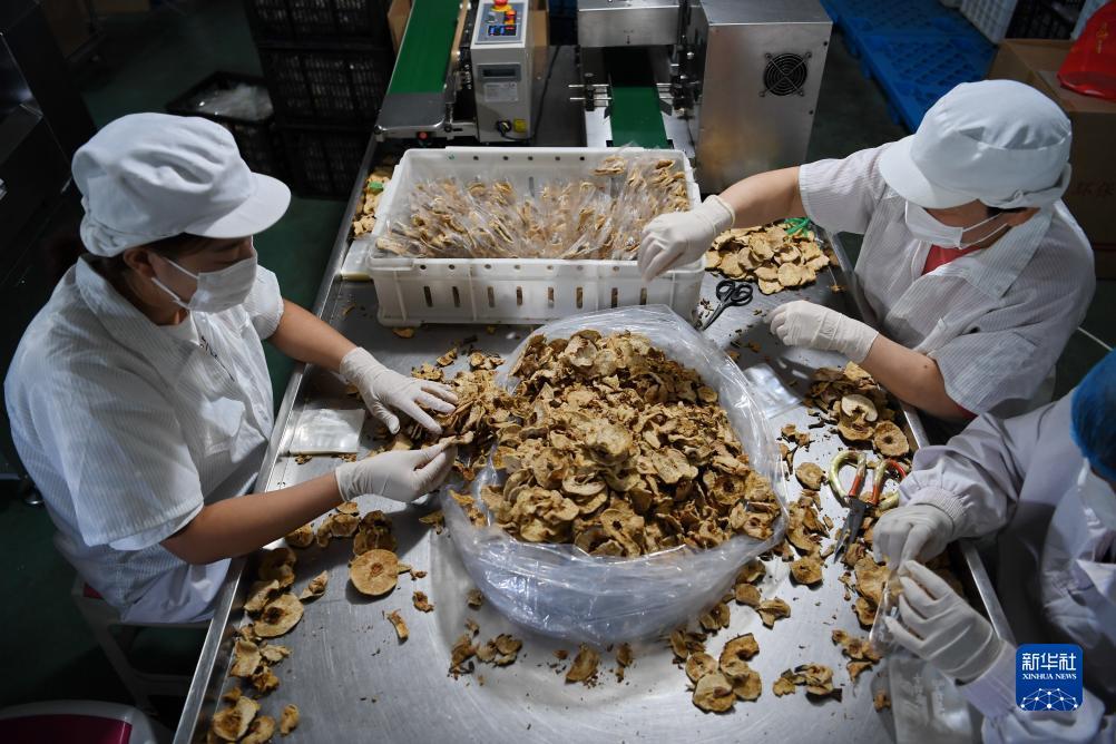 乐游游戏盒子